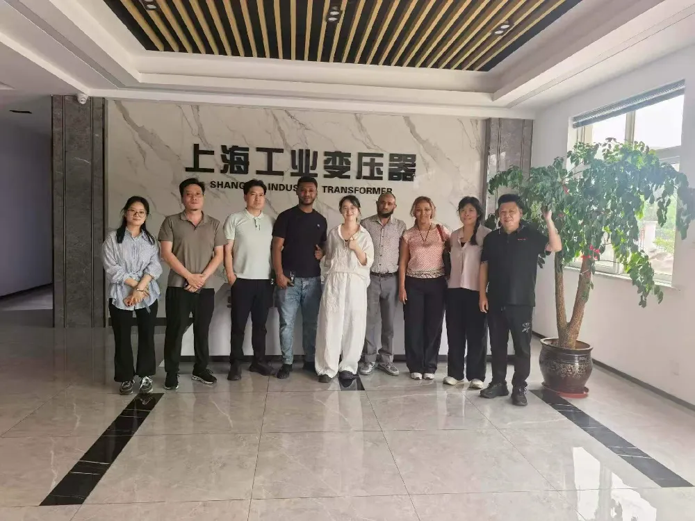 Sıcak Karşılama! Etiyopya Heyeti, Transformatörler ve Güç Dağıtım Ekipmanları Değişimi İçin Shanghai Industrial Transformer Co., Ltd.'yi Ziyaret Etti